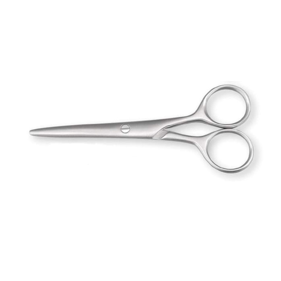 Barber Scissors