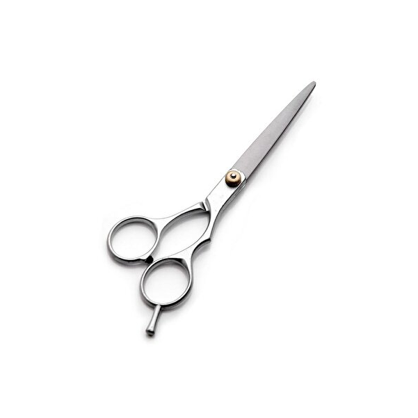 Barber Scissors